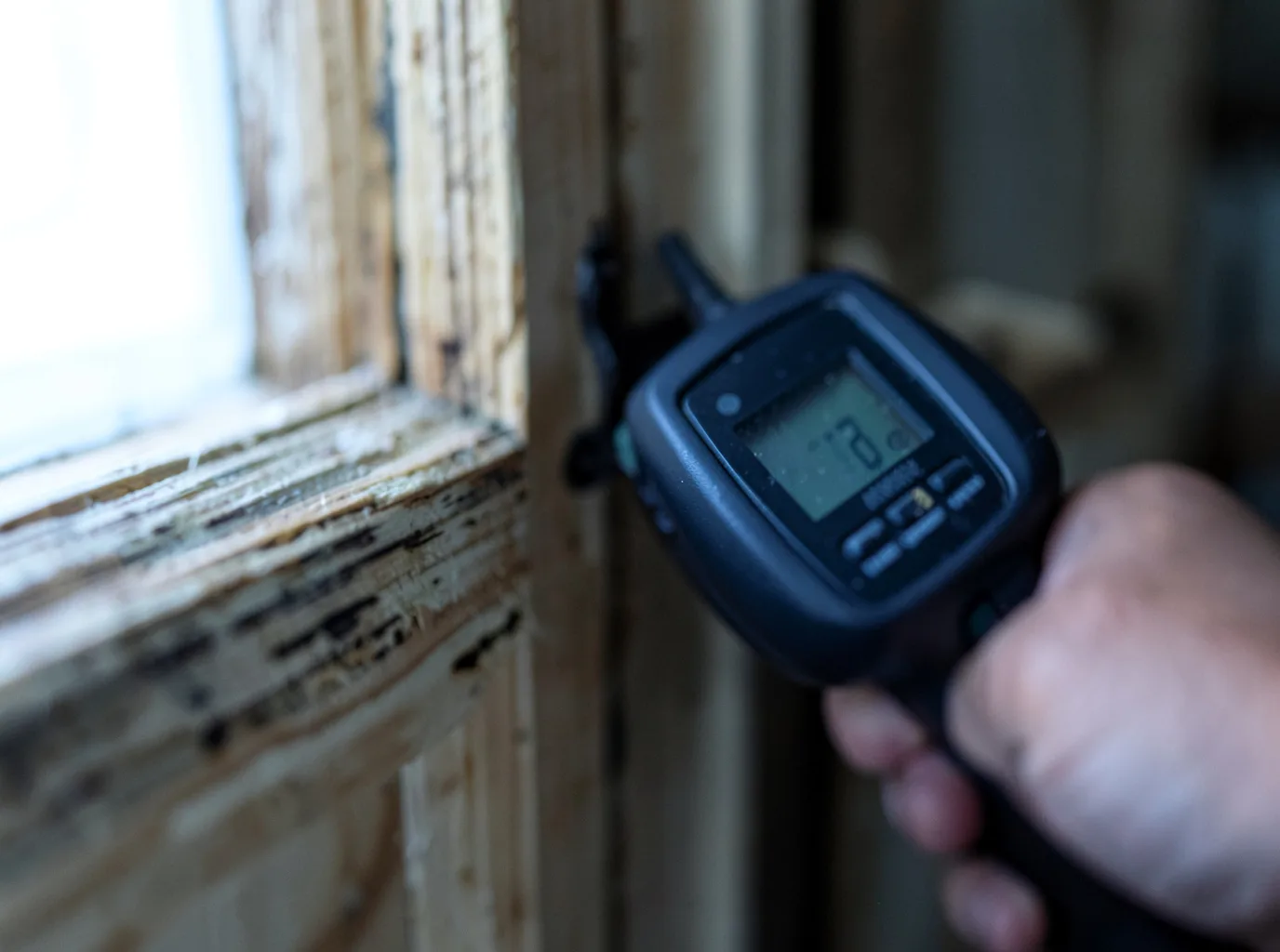 Moisture Inspection And Documentation in Lakeview, AR
